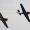 Red Bull Kunstflieger