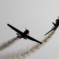 Red Bull Kunstflieger