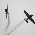 Red Bull Kunstflieger