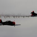 Red Bull Kunstflieger