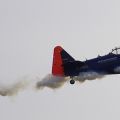 Red Bull Kunstflieger