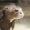 Hagenbeck Tierpark