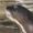 Hagenbeck Tierpark