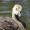 Hagenbeck Tierpark