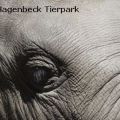 Hagenbeck Tierpark