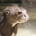 Hagenbeck Tierpark