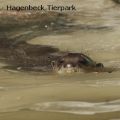 Hagenbeck Tierpark