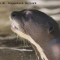 Hagenbeck Tierpark