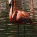 Hagenbeck Tierpark