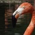 Hagenbeck Tierpark