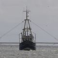 Büsum - Buesum
