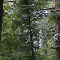 Kletterwald Neroberg Wiesbaden |Koschoreck