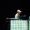 Pet Shop Boys - Frankfurt