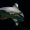 SeaLife Bray - Sea Life Bray