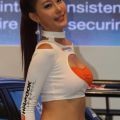 IAA Model