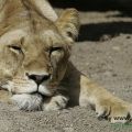 Hagenbeck Tierpark
