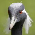 Hagenbeck Tierpark