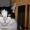 Katze